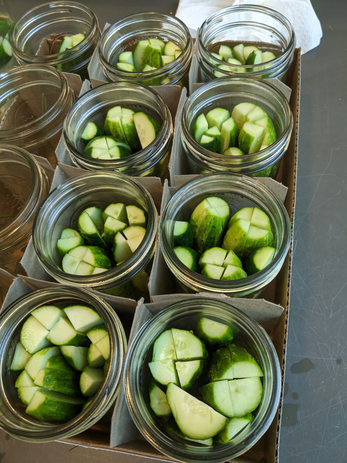 Cummins LiveWell Center » Vegetable Spotlight: Mini Cucumbers, DIY